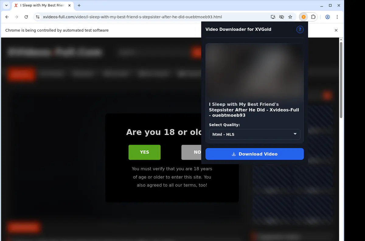 Xvgold Video Downloader browser extension screenshot 3
