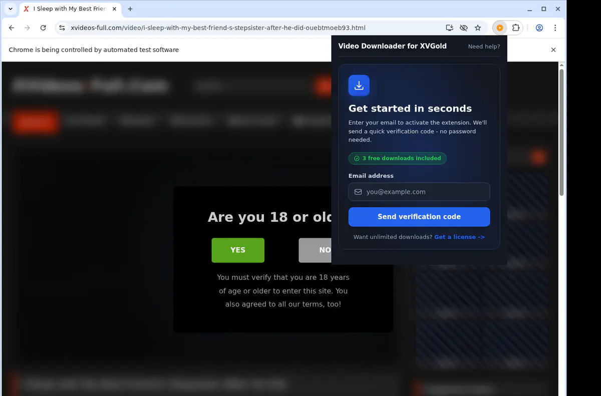 Xvgold Video Downloader browser extension screenshot 5
